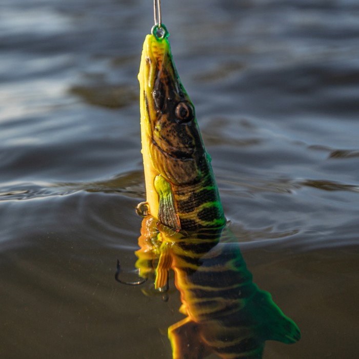 Savage Gear 4D Pike Shad Lure Lifestyle  7