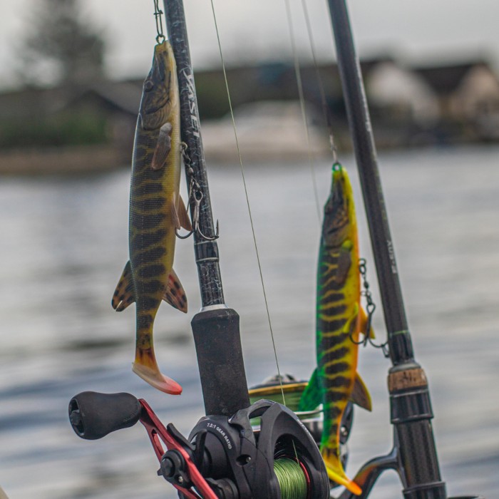 Savage Gear 4D Pike Shad Lure Lifestyle  2