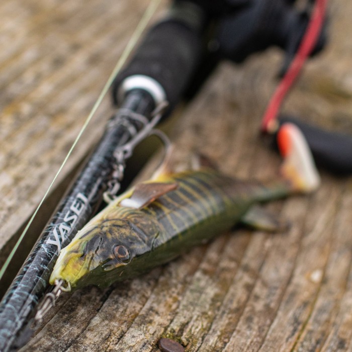 Savage Gear 4D Pike Shad Lure Lifestyle  3
