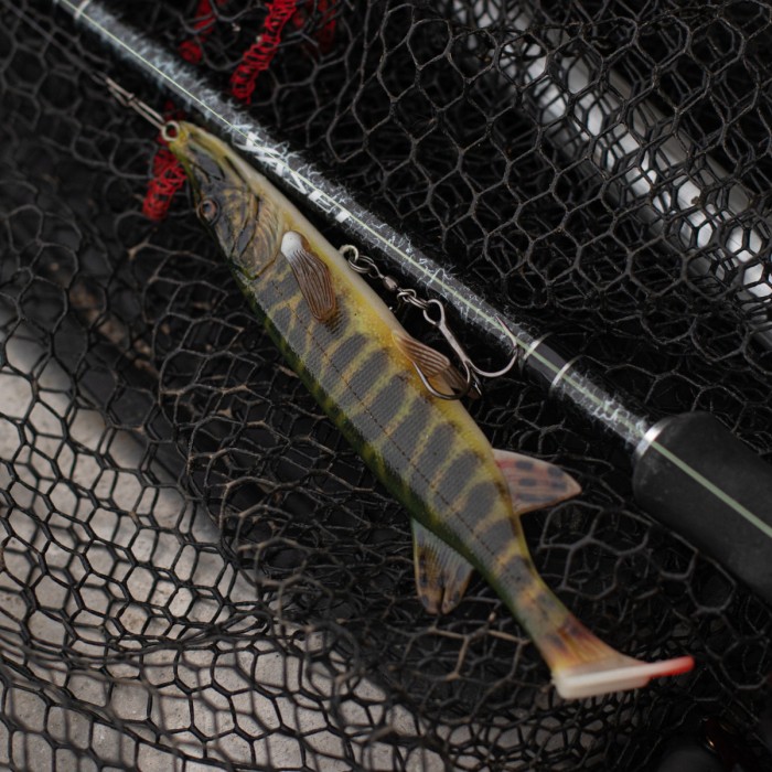 Savage Gear 4D Pike Shad Lure Lifestyle  4
