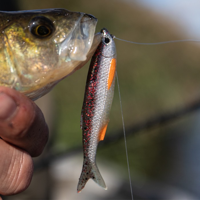 Savage Gear Dropshot Pro Pack Kit In Use