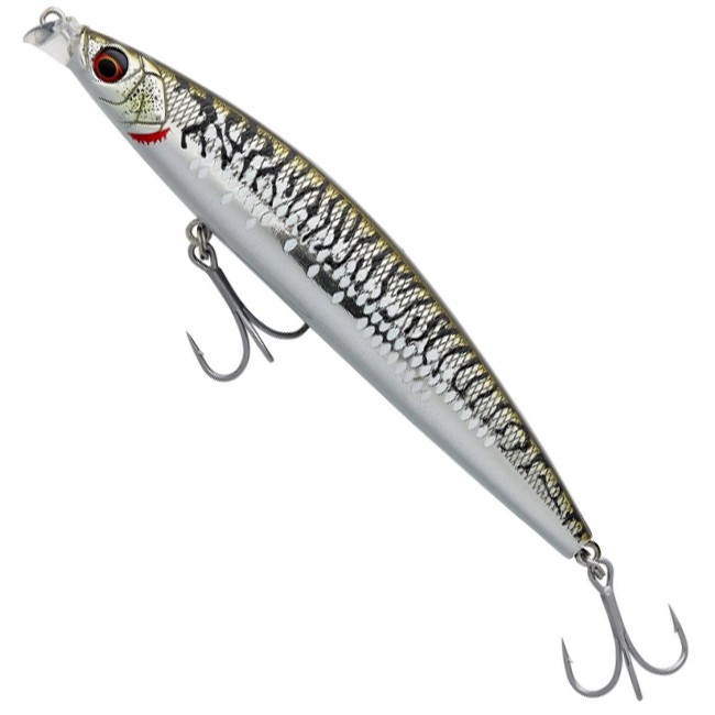 Mackerel Ayu