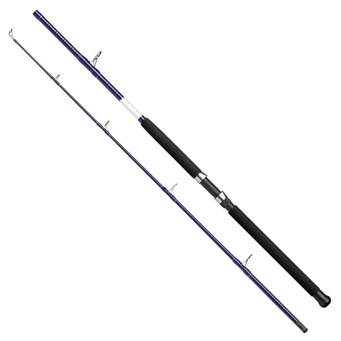 Shakespeare Salt Boat Fishing Rod 1
