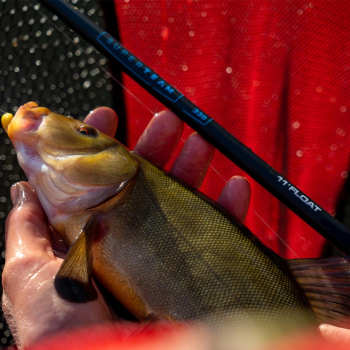 Shakespeare Superteam Float Fishing Rod In Use