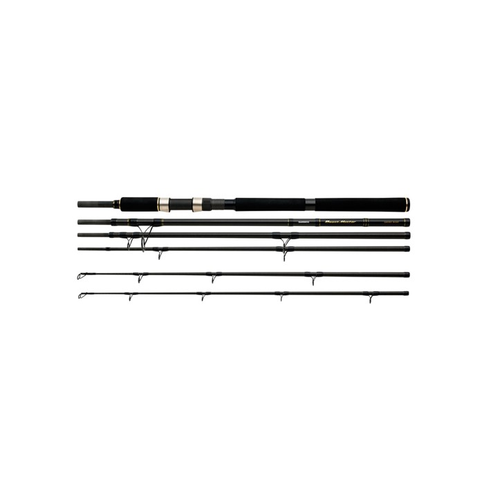 Shimano Beastmaster STC Shore Boat Rod