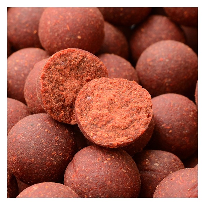 Solar The Original Red Herring Shelf Life Boilies