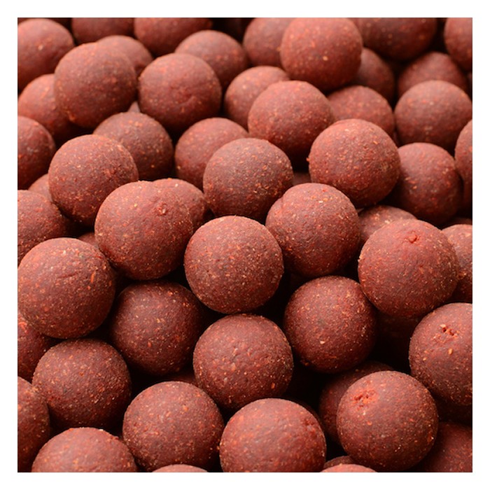 Solar The Original Red Herring Shelf Life Boilies Close Up
