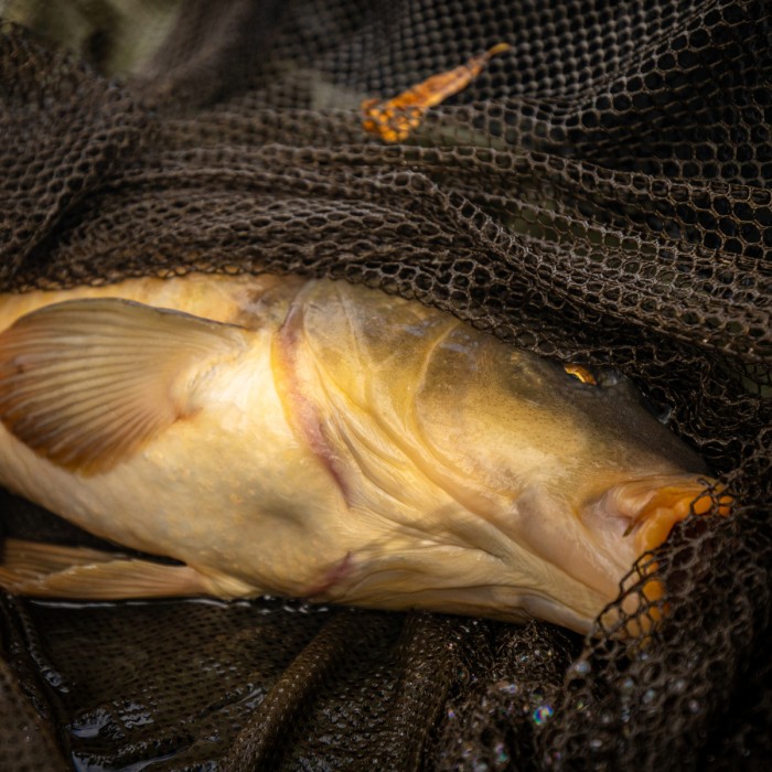 Sonik Xtractor Net 42" (T44) In Use 6