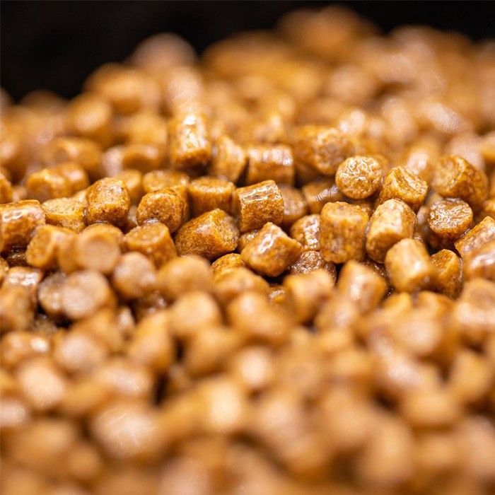 Sonubaits Absolute Fish Oil Close Up 2