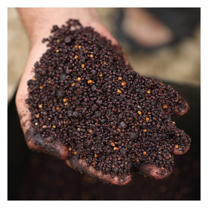 Sticky Baits Bloodworm Spod & Bag Mix 2.5kg Close Up 4