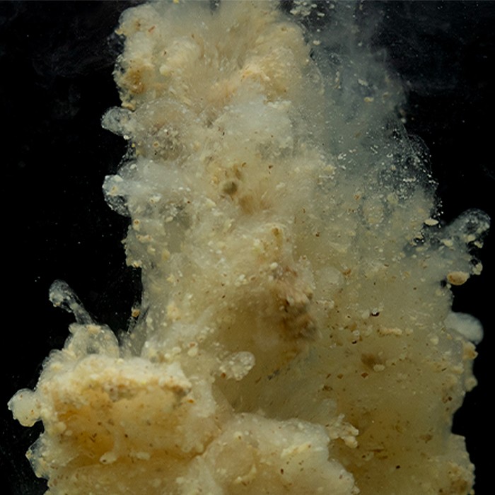 Sticky Baits Manilla Active Mix 3