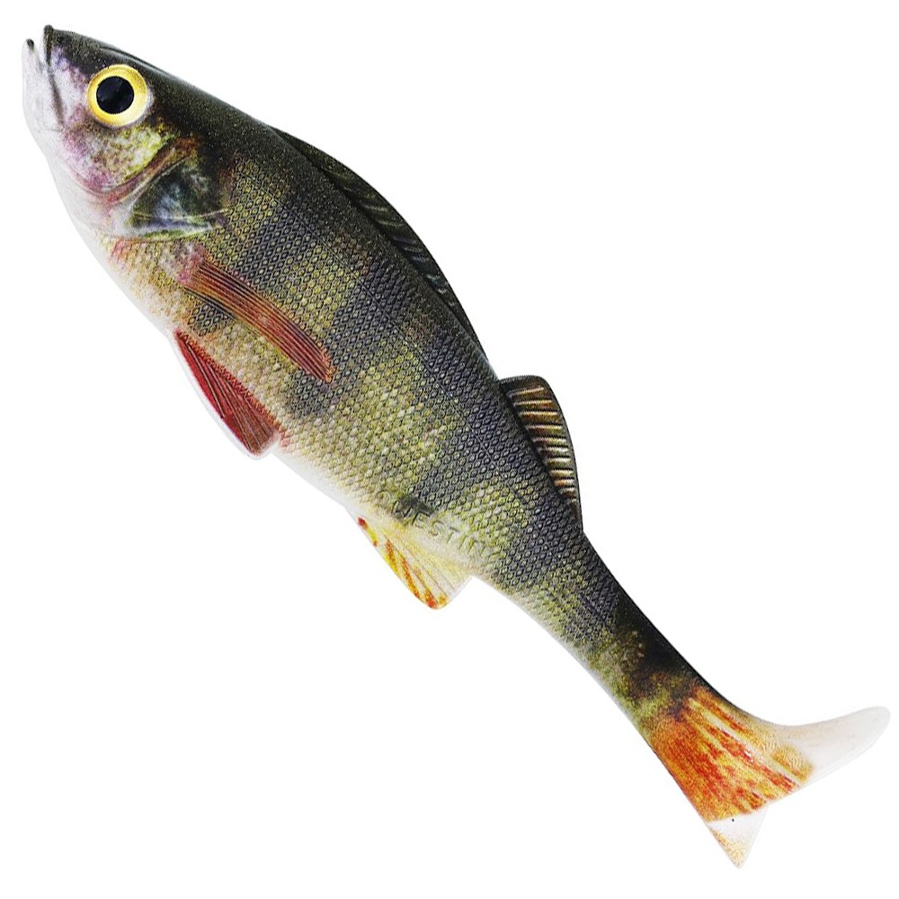 Real Perch
