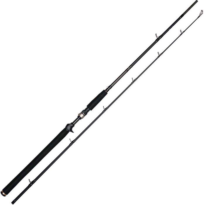 Westin W3 Jerkbait-T 2nd Generation Rod 2