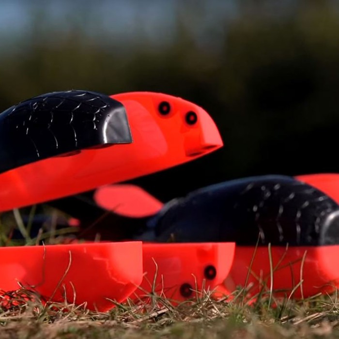 Wolf X-Spod Large Performance Black & Red