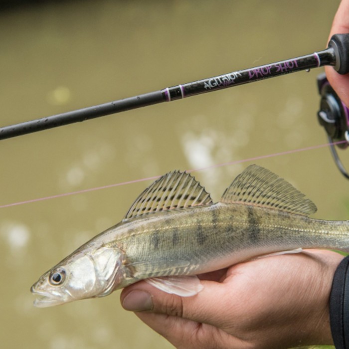 Wychwood Agitator Drop Shot Rods In Use 6