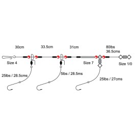 Tronixpro 3 Hook Clipped Rig