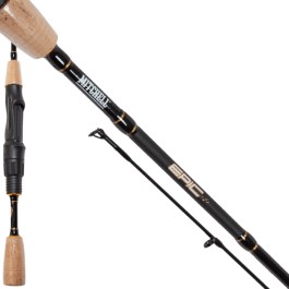Mitchell Epic R Spinning Fishing Rod