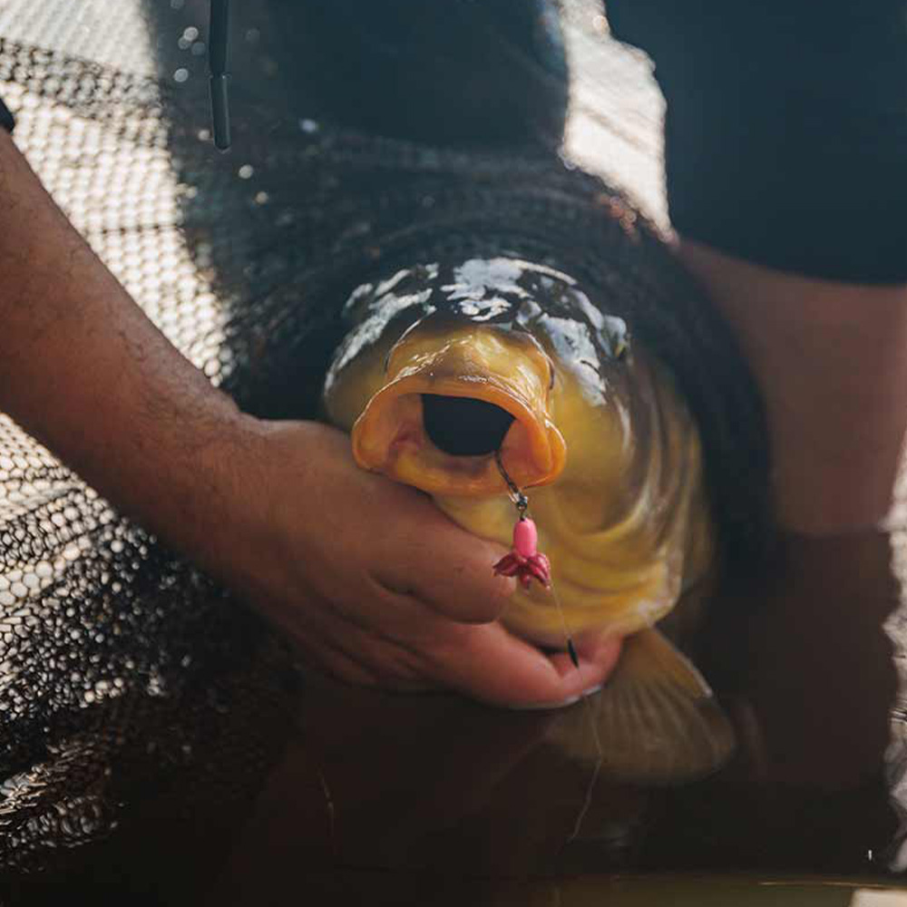 Fox Edges Illusion Fluoro D-Rigs