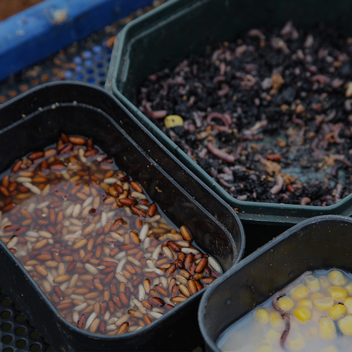 Fishing Tackle Rods, Reels, Line, Hooks, Bait Angling Direct