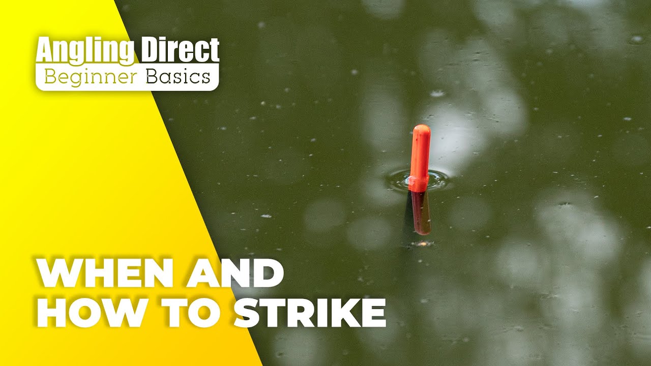 Guide to Fishing Tackle for Beginners Rods, Reels, Lines, Hooks