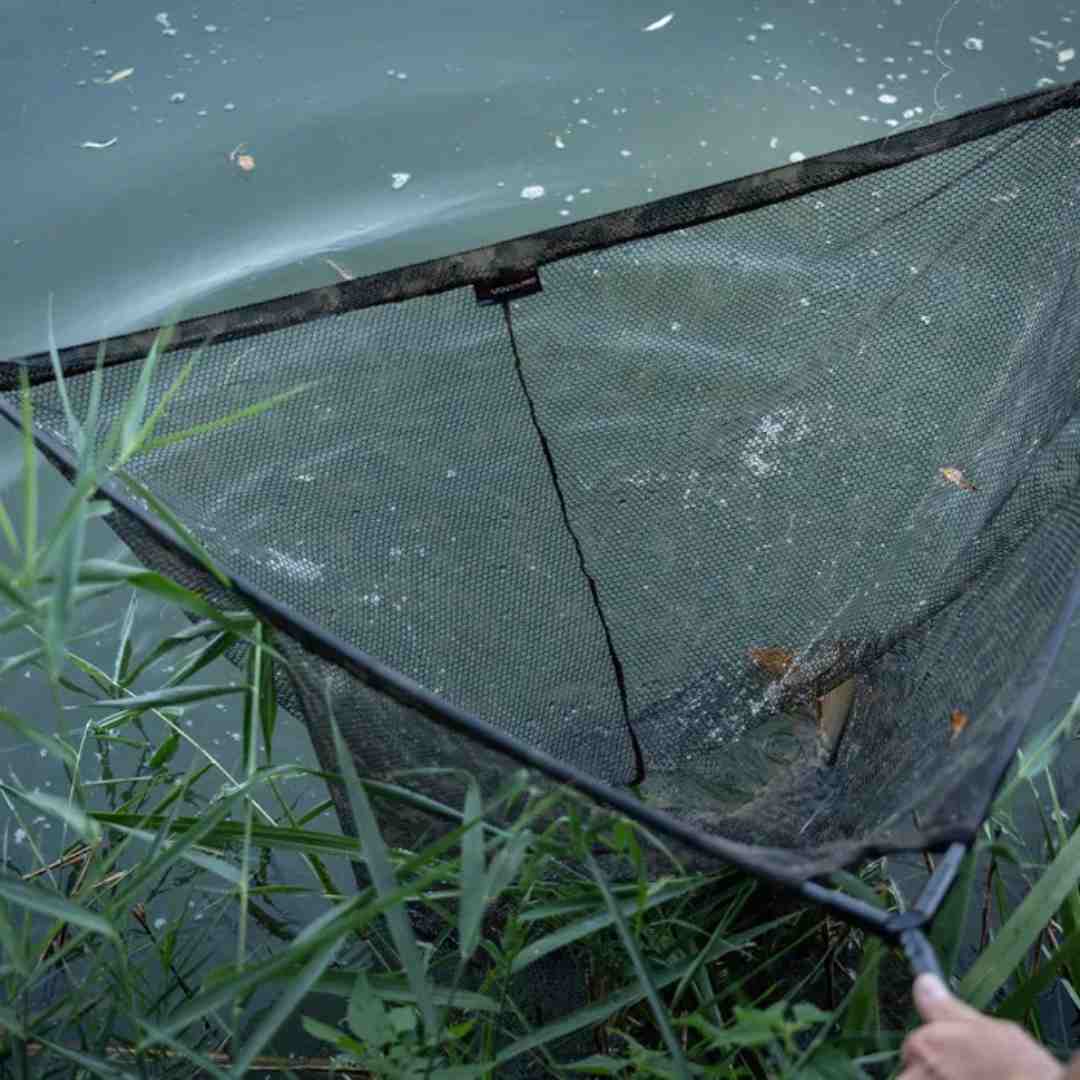 Advanta Carp Fishing Landing Net