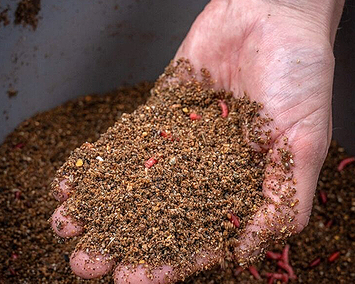 ADTV Specimen Series – Tench on the Float 7