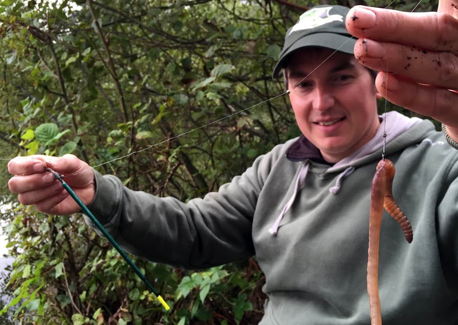 Beginners Guide How To Catch Perch