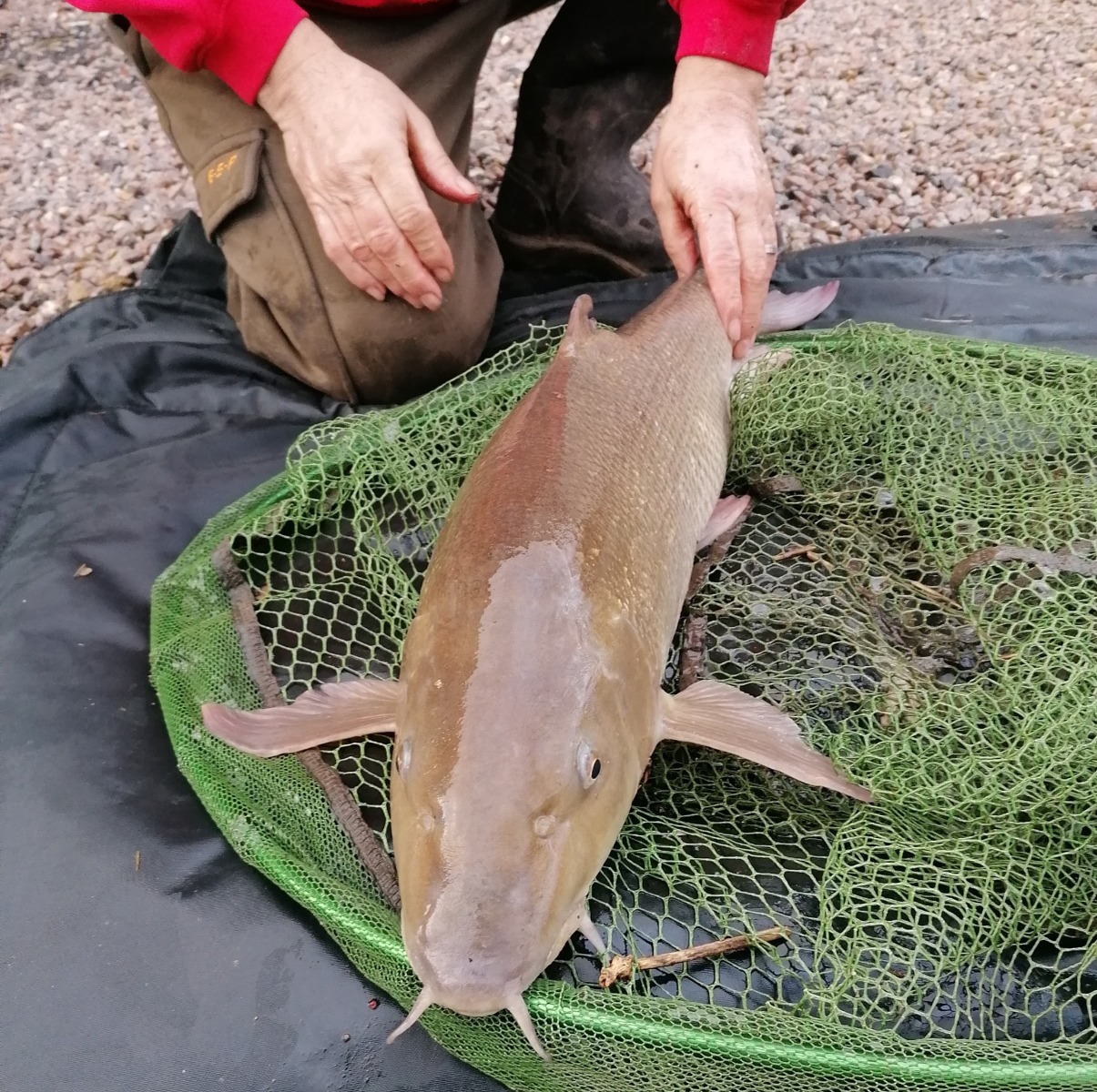 Top Winter Barbel Fishing Tips - Beat the Cold