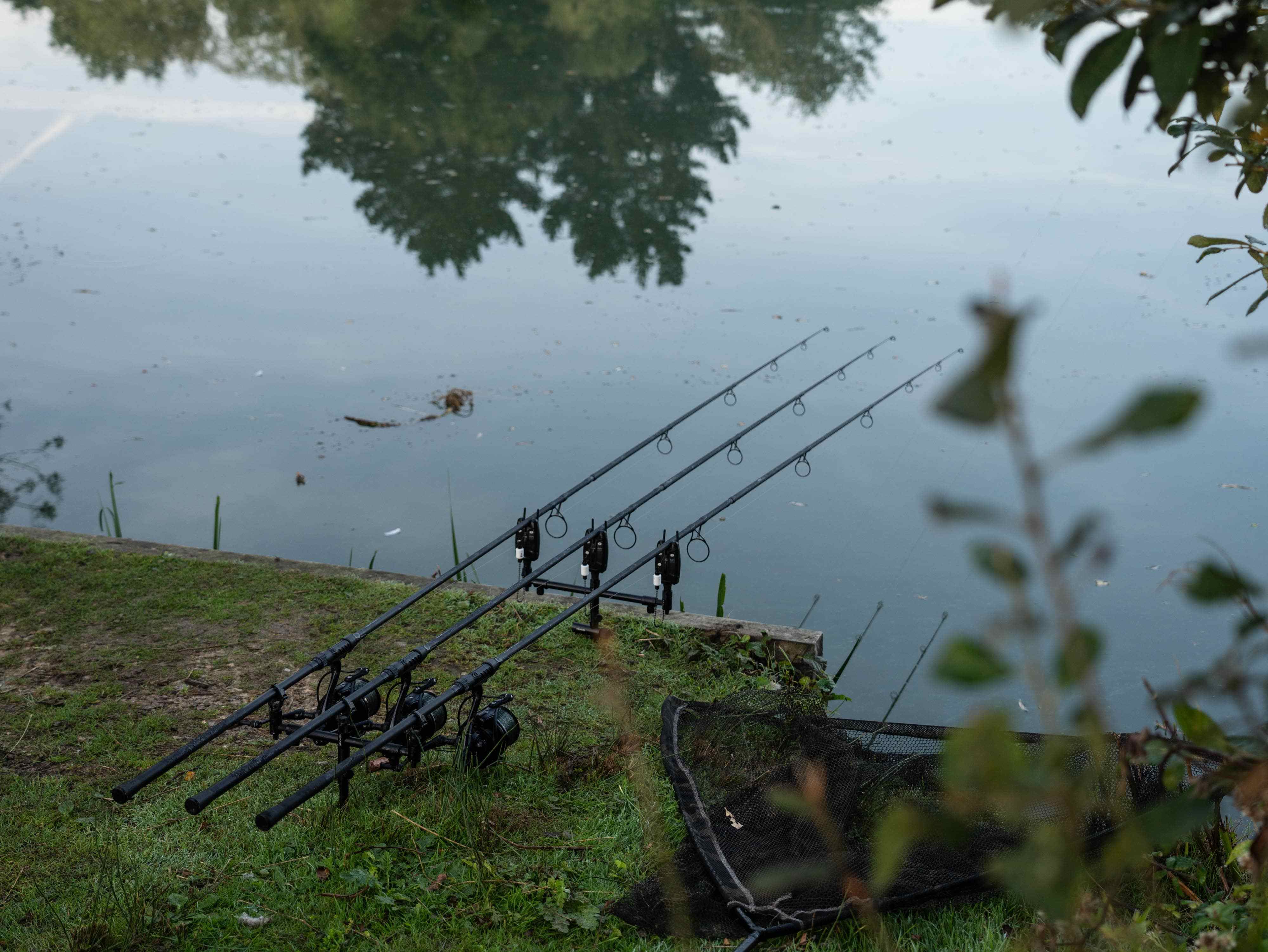 Best Carp Fishing Rods of 2023