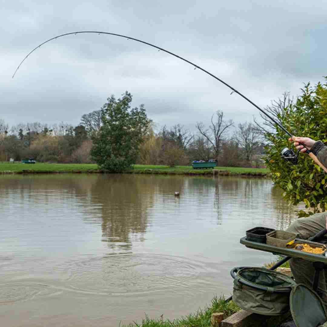 Shop all Carp Rods