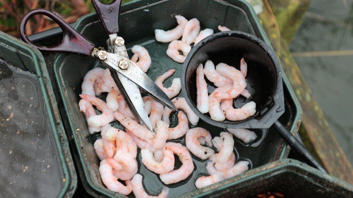 20 Food Items that Make Great Fishing Baits