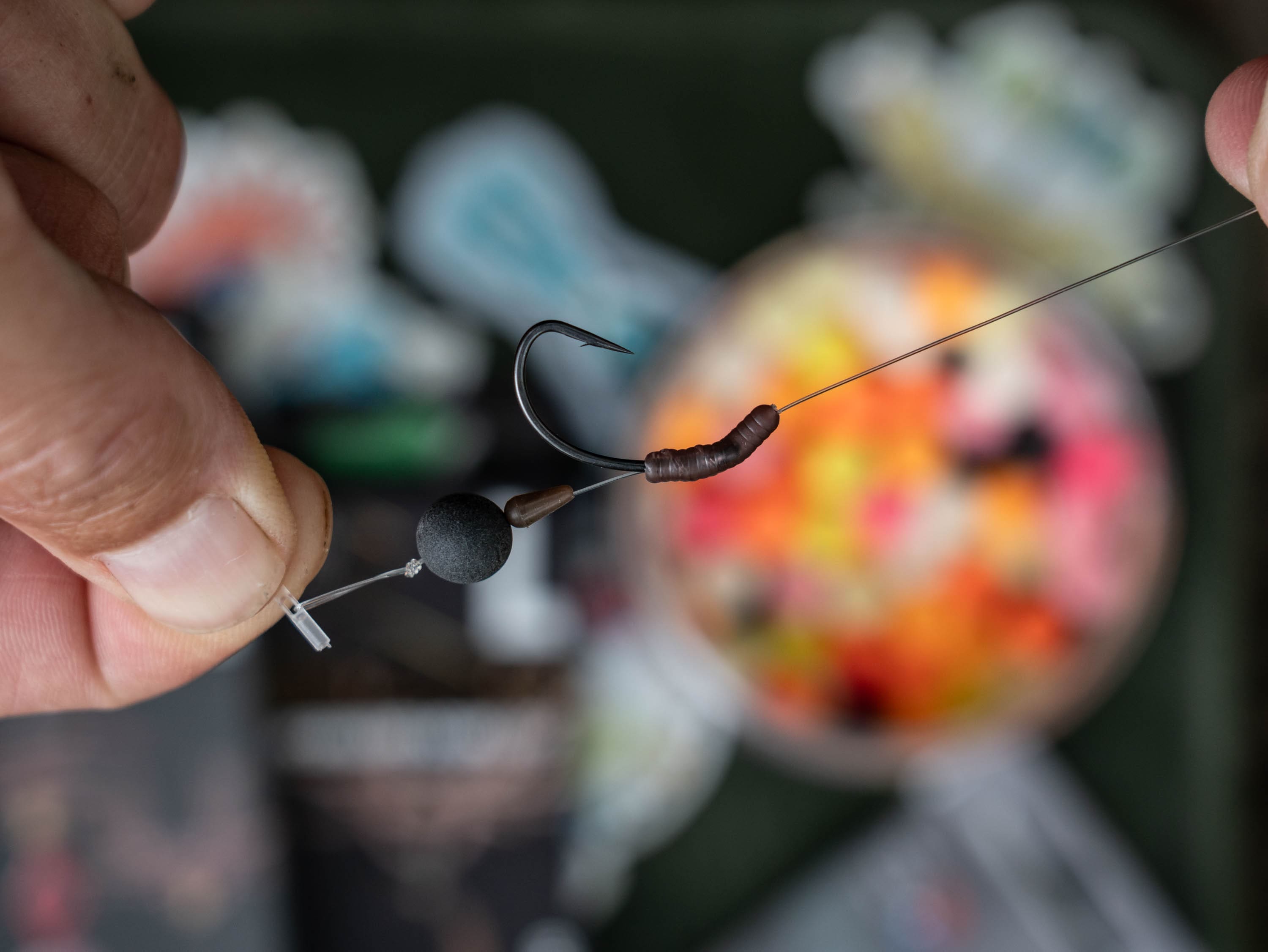 worm rigs for carp