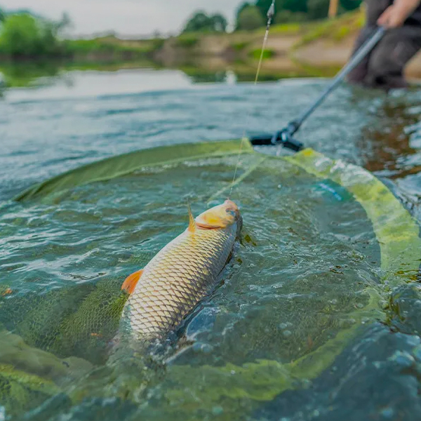 Fishing Tackle Rods, Reels, Bait, Bivvies Angling Direct