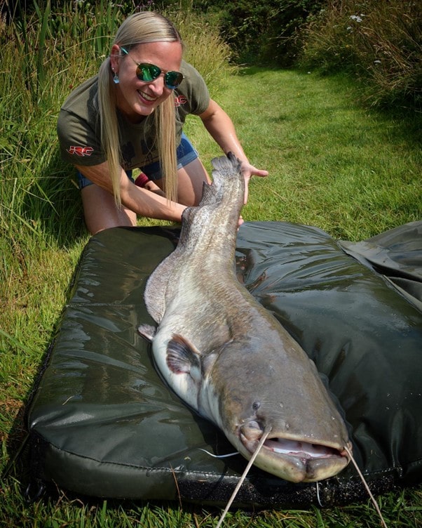 Zen Fish - Catfishing